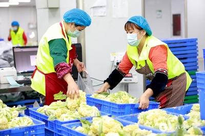 遵義匯川 “智慧對接”讓農產品更暢銷