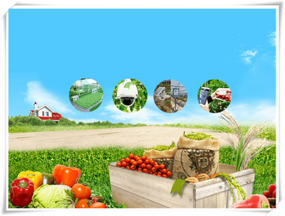 農(nóng)業(yè)溯源 實現(xiàn)真正的農(nóng)產(chǎn)品食品安全